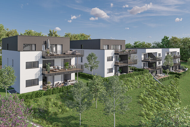 WOHNUNGEN und AUSSTATTUNG